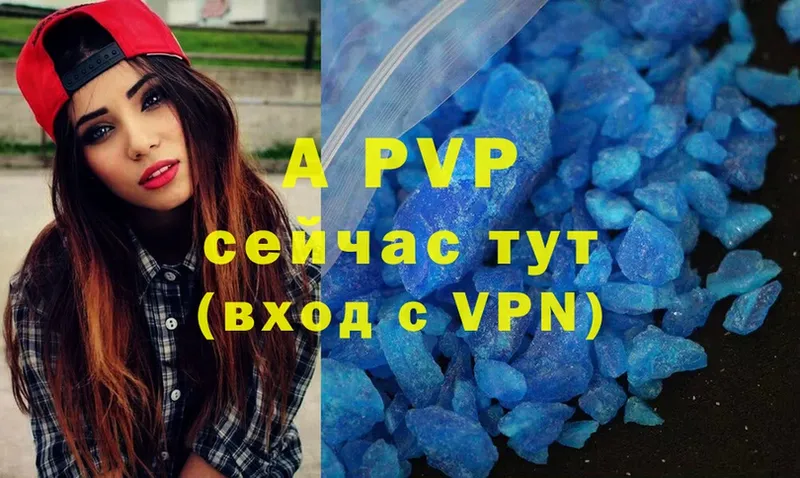 A PVP СК КРИС Луга