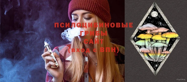 мдпв Надым