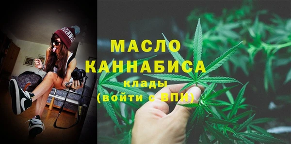 мдпв Надым