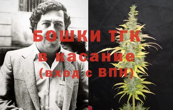 мдпв Надым