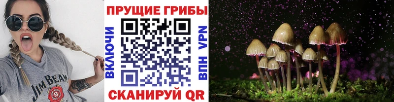 Галлюциногенные грибы мицелий  Луга 