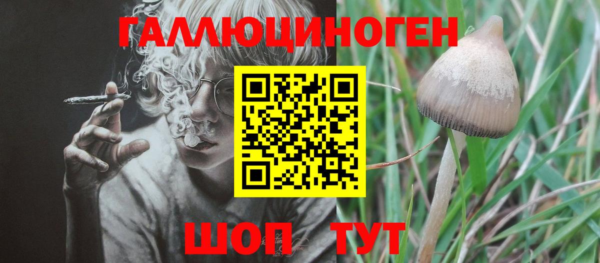 Галлюциногенные грибы мухоморы  Псилоцибиновые грибы Magic Shrooms  Луга  Вход с VPN 